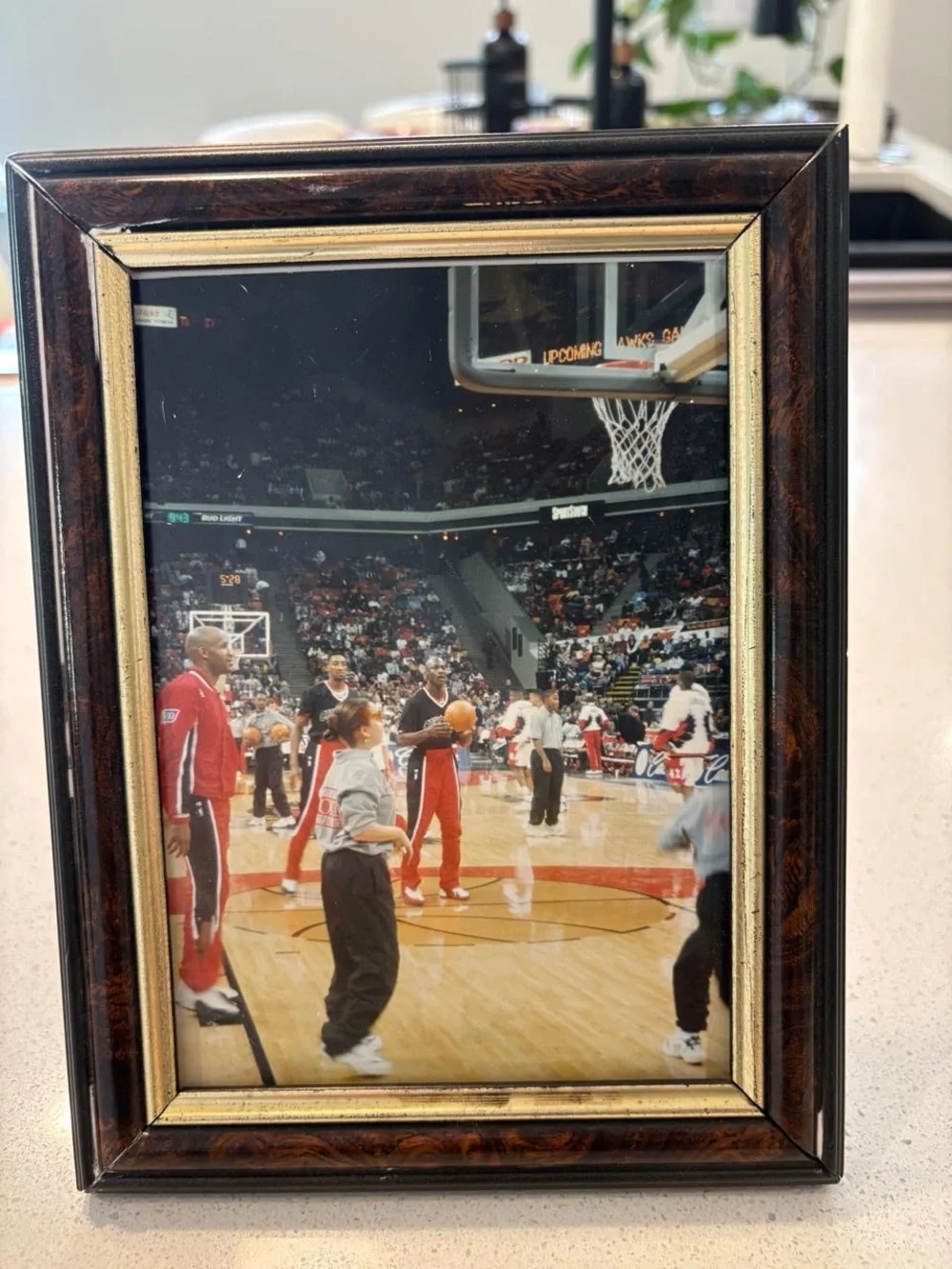 Michael Jordan Scottie Pippen Original Pregame Framed Bulls Photo J#03